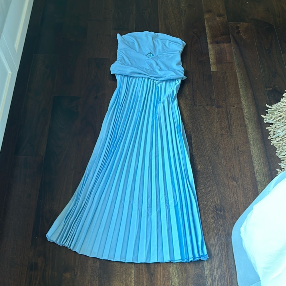 Camille Chevalier Blue Dress